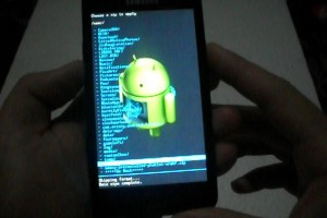 instalando ubuntu touch