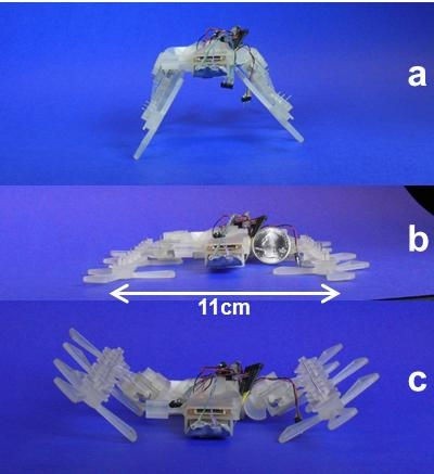 robot impreso en 3D medidas